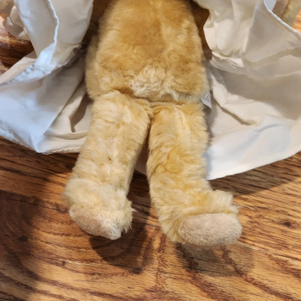 Plush Angel Teddy Bear with Lacy Collar Dress